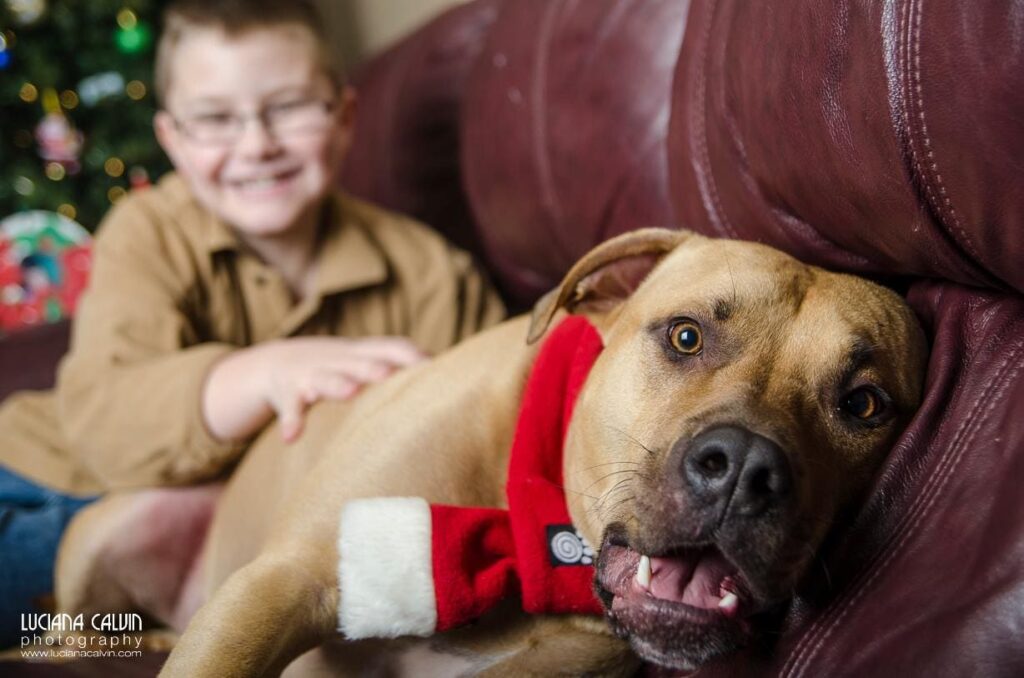 boy and dog with Christmas scarf