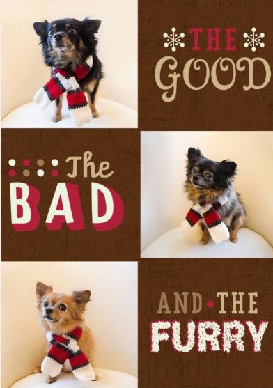 dogs with Christmas scarves