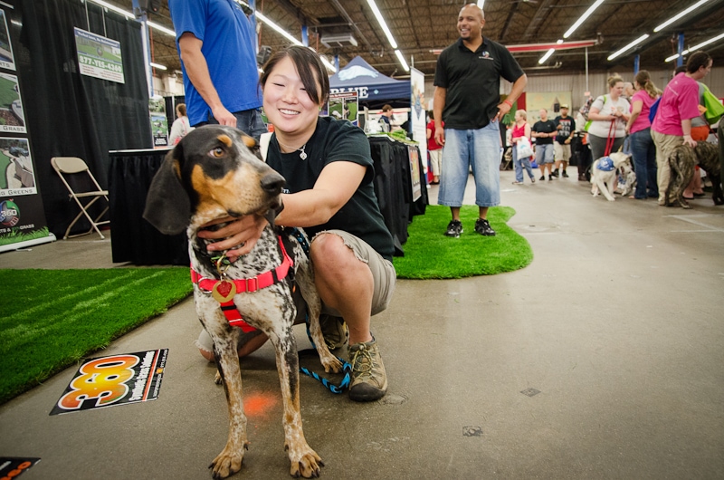 puppy seating on the floor at pet expo