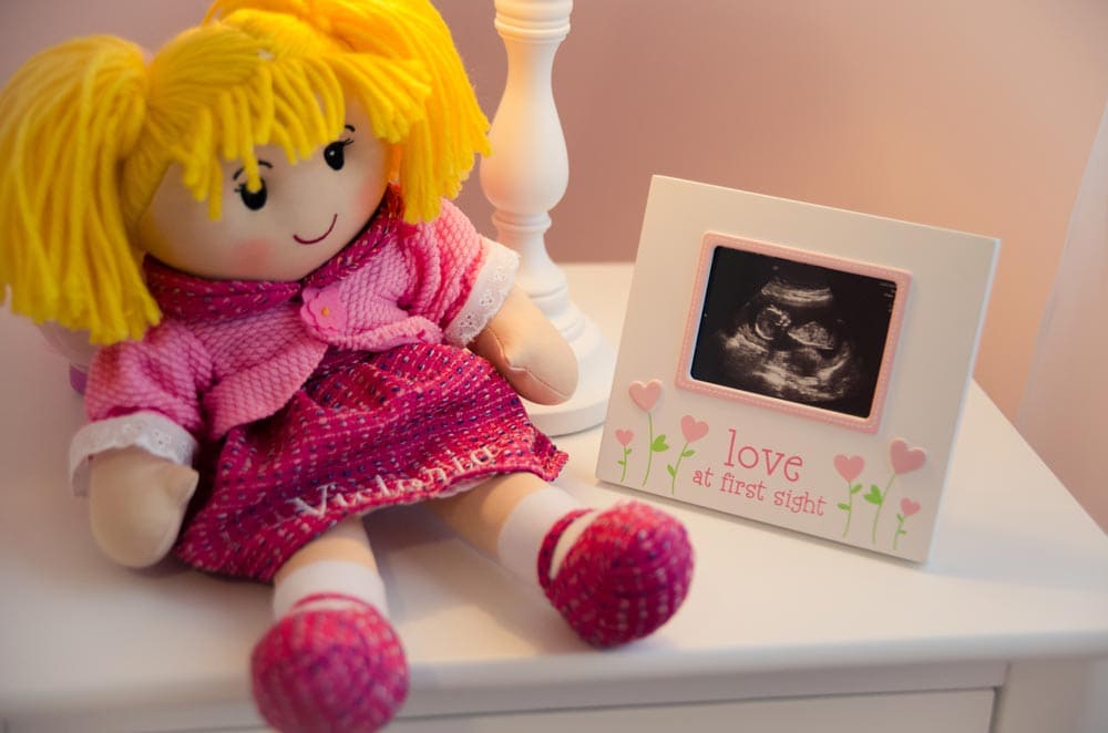 dog next to ultrasound picture