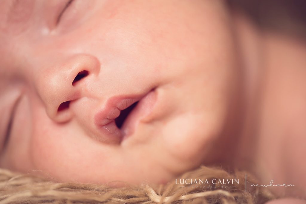 newborn baby mouth closeup newborn baby mouth closeup
