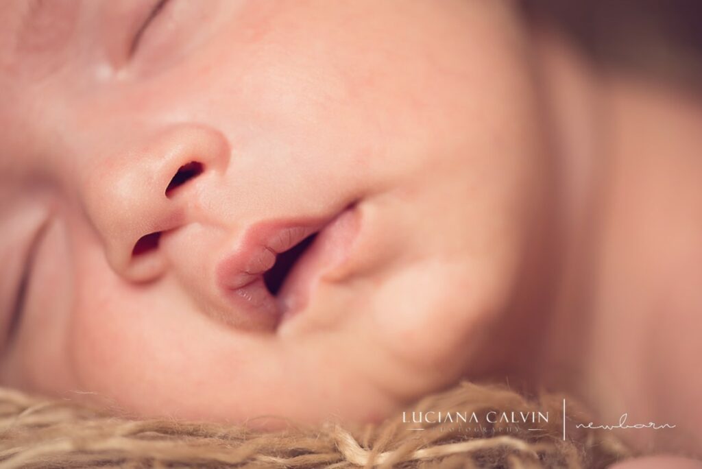 newborn baby mouth closeup newborn baby mouth closeup