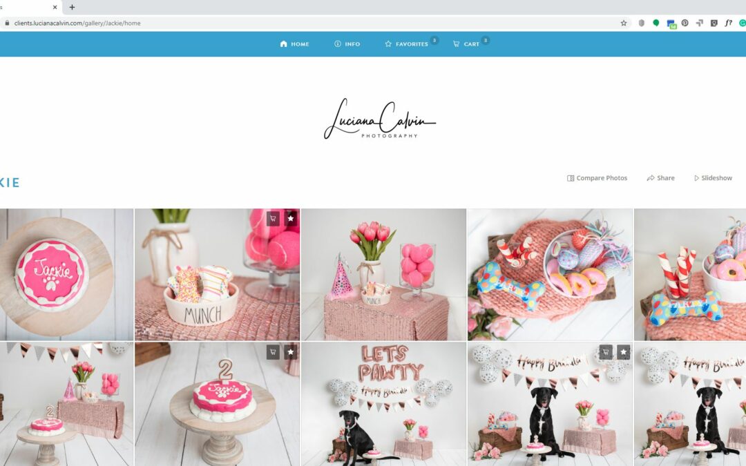 Luciana Calvin Gallery Tour