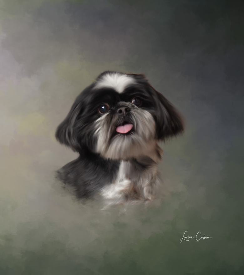 Pet portrait Chelmsford Massachusetts — Luciana Calvin Photography