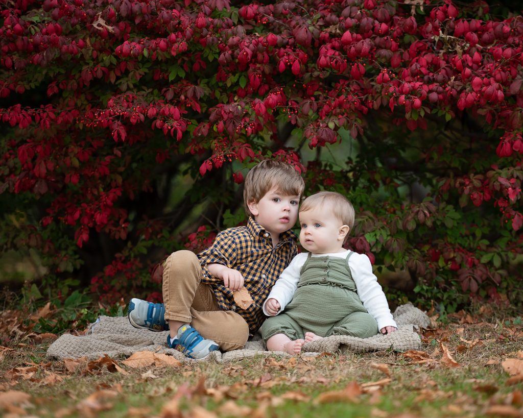 two children sitting on a blanket under a tree