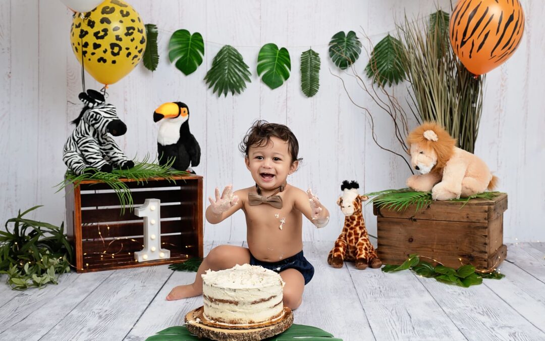 Meir’s Jungle Cake Smash
