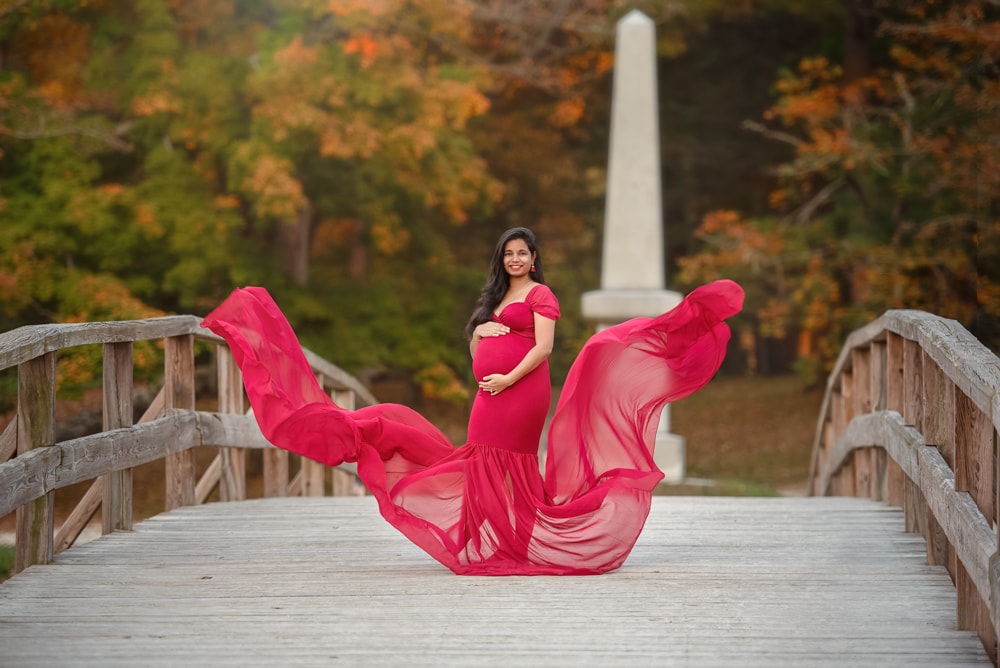 Prasanthi Dara’s Maternity Session