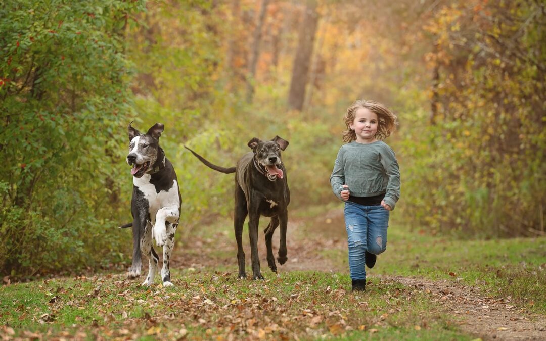 Little Kids & Big Dogs Project