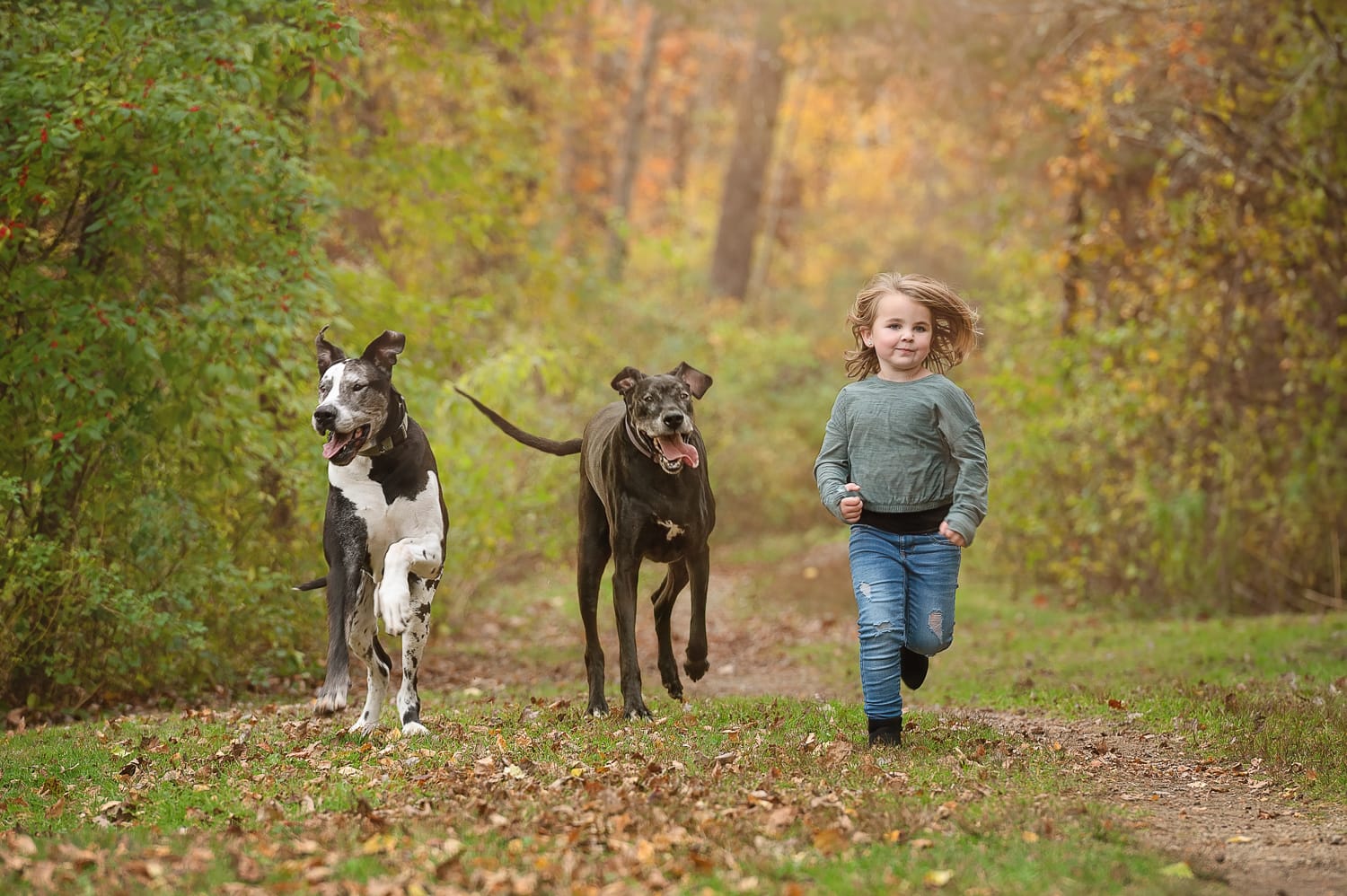 Child portrait Chelmsford Massachusetts — Luciana Calvin Photography