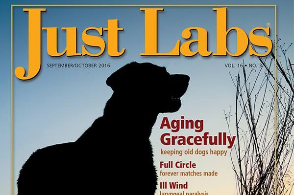 Just Labs Magazine Cover