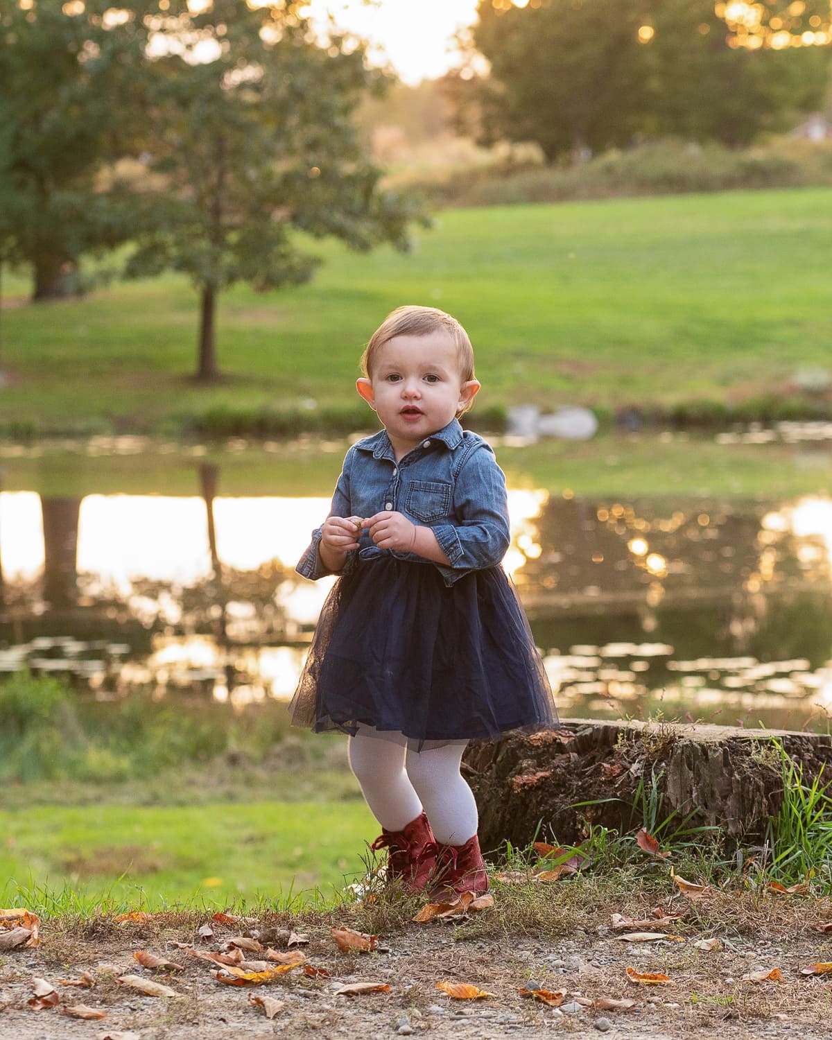 Family portrait Chelmsford fall — Luciana Calvin Photography