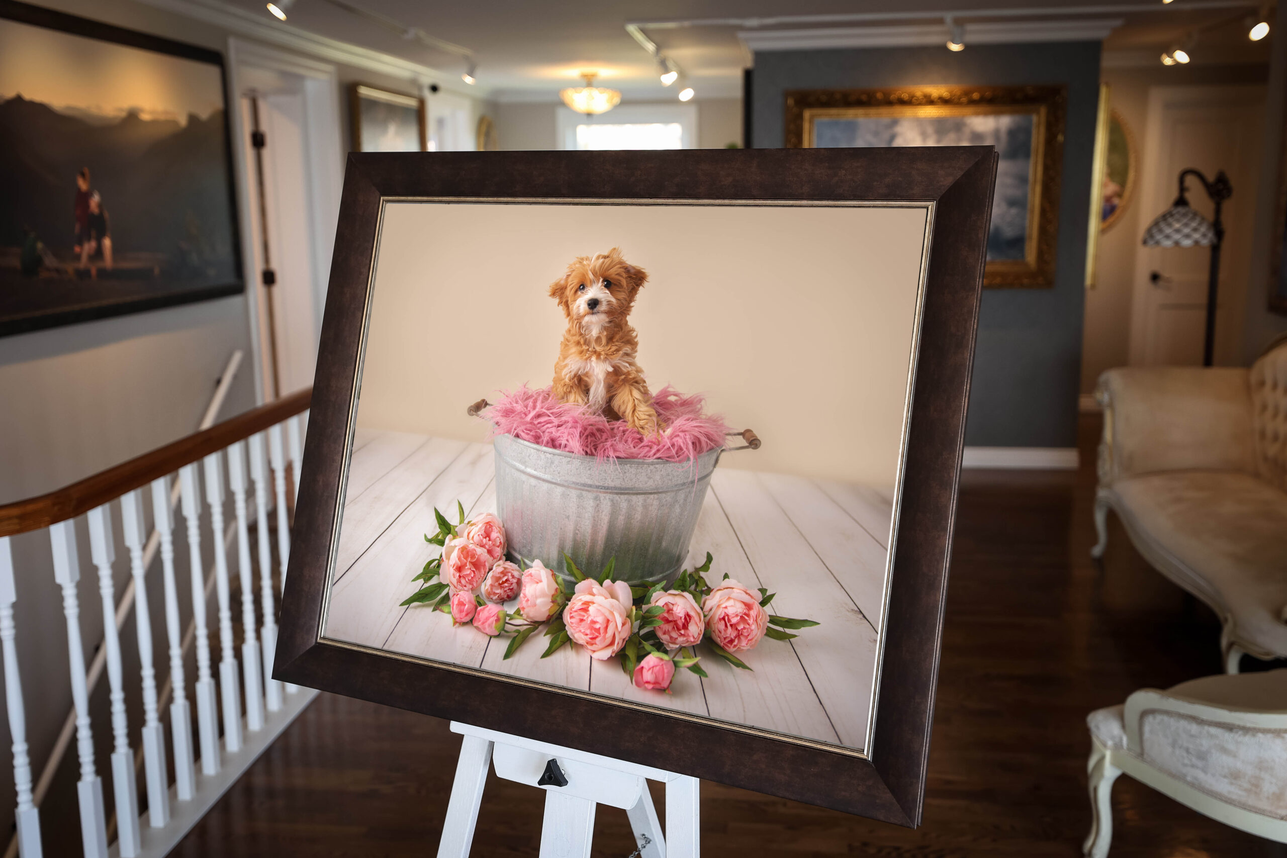 Canvas print fine art — Luciana Calvin Photography