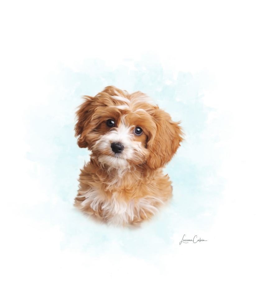 chelmsford-painted-pet-portrait