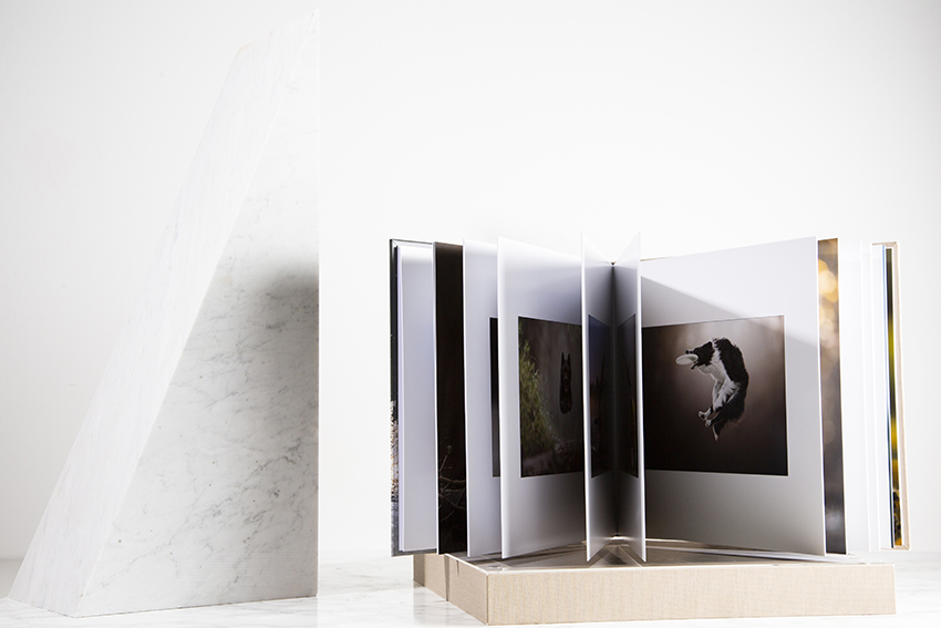 Legacy album portrait photography — Luciana Calvin Photography