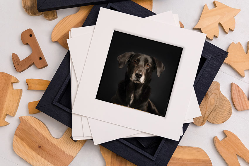 Framed wall art home installation — Luciana Calvin Photography